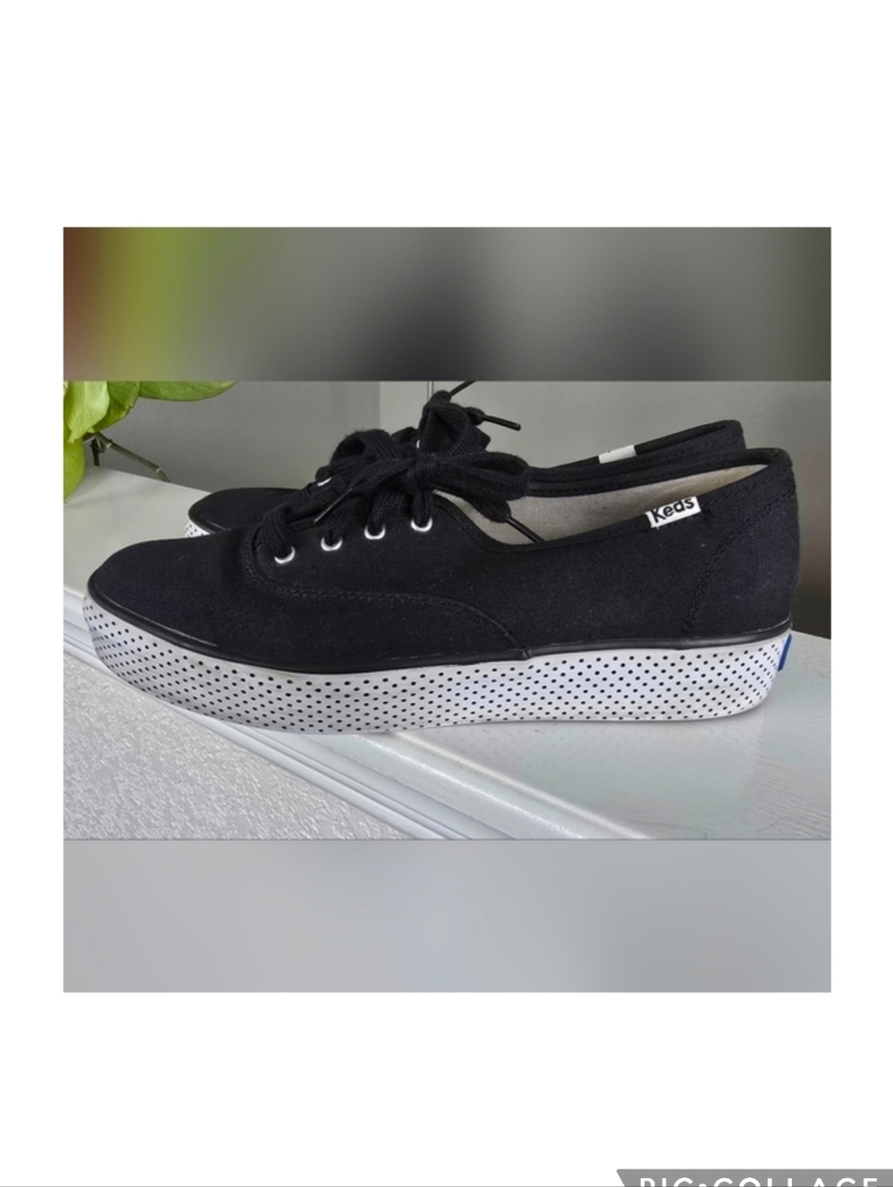 Keds Champion Triple Dot Foxing womens sneakers shoes size 9